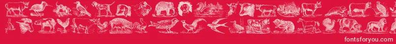 AnimalsOldCuts Font – Pink Fonts on Red Background