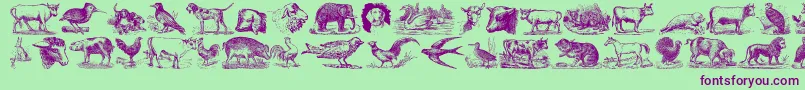 Шрифт AnimalsOldCuts – фиолетовые шрифты на зелёном фоне