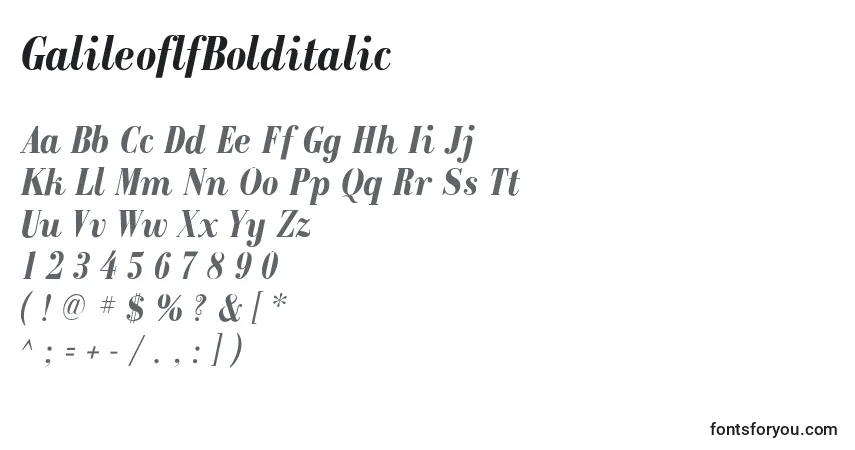 Czcionka GalileoflfBolditalic – alfabet, cyfry, specjalne znaki