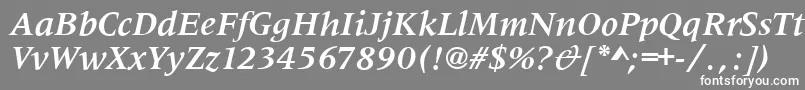 フォントMetaphorBolditalic – 灰色の背景に白い文字