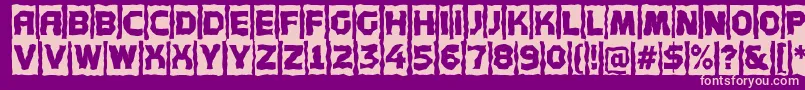 AConceptottlcmbr Font – Pink Fonts on Purple Background