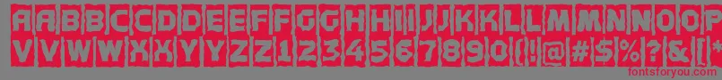AConceptottlcmbr Font – Red Fonts on Gray Background