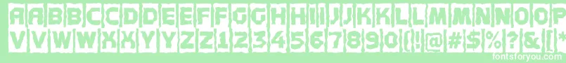 AConceptottlcmbr Font – White Fonts on Green Background