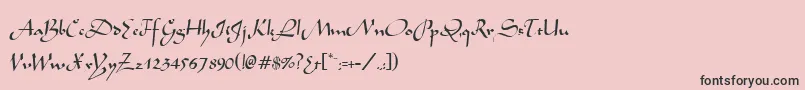 フォントMochaNormal – ピンクの背景に黒い文字