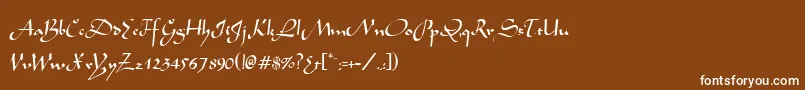 フォントMochaNormal – 茶色の背景に白い文字