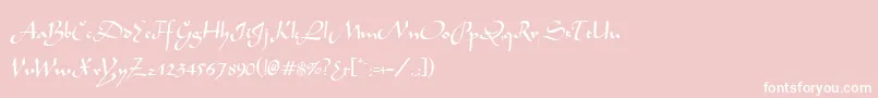 MochaNormal Font – White Fonts on Pink Background