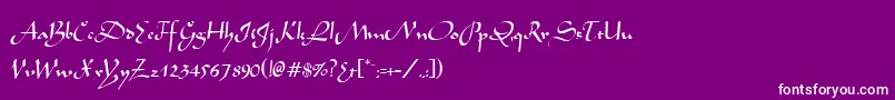 MochaNormal Font – White Fonts on Purple Background