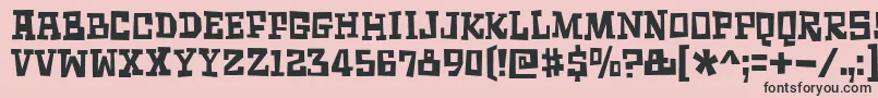 SurfingAshtrayDemo Font – Black Fonts on Pink Background