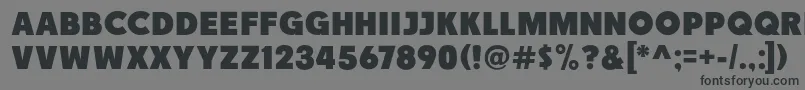 Race1BranntNcv Font – Black Fonts on Gray Background