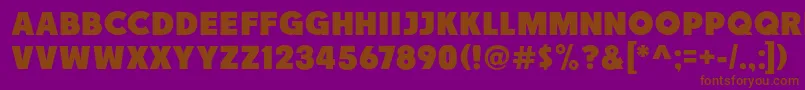 Race1BranntNcv Font – Brown Fonts on Purple Background