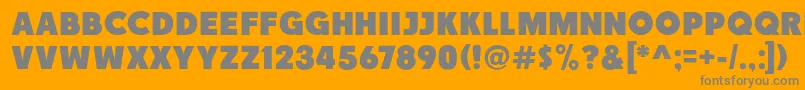 Race1BranntNcv Font – Gray Fonts on Orange Background