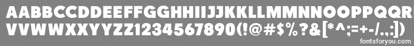 フォントRace1BranntNcv – 灰色の背景に白い文字