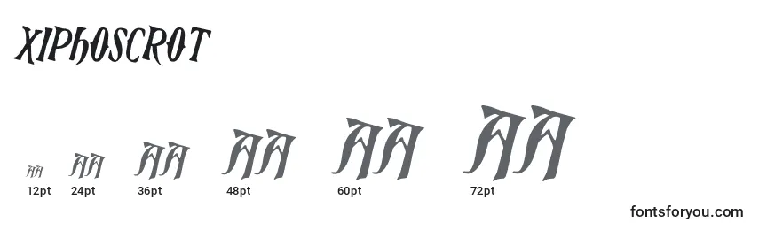 Размеры шрифта Xiphoscrot