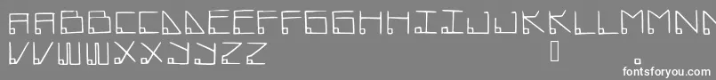 Datamost Font – White Fonts on Gray Background