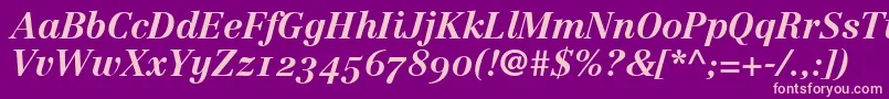 LinotypeCentennial76BoldItalicOldstyleFigures Font – Pink Fonts on Purple Background