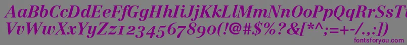 LinotypeCentennial76BoldItalicOldstyleFigures Font – Purple Fonts on Gray Background