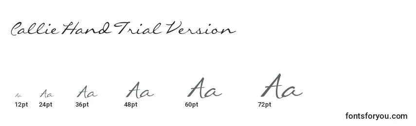 CallieHandTrialVersion Font Sizes