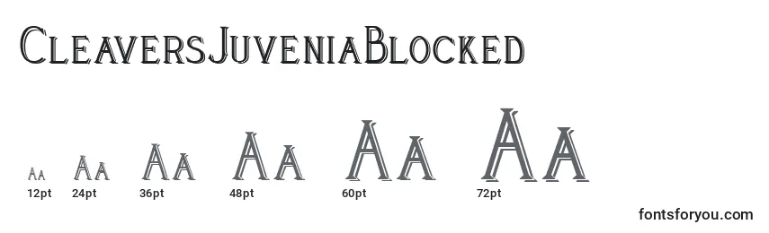 Размеры шрифта CleaversJuveniaBlocked