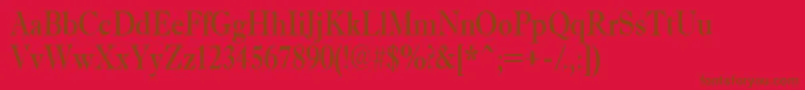 AAntiquetradynr Font – Brown Fonts on Red Background
