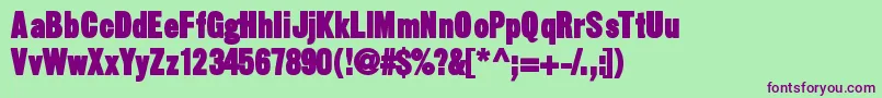 Sansthirteenblack Font – Purple Fonts on Green Background