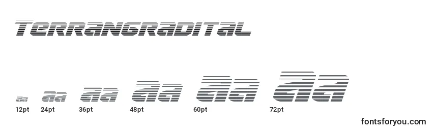 Размеры шрифта Terrangradital