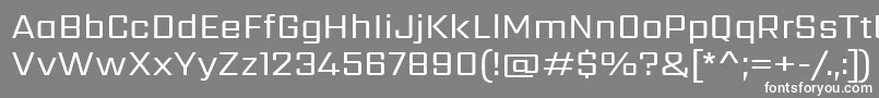 SarpanchRegular Font – White Fonts on Gray Background