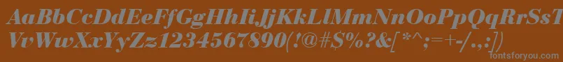 EurobodtBoldItalic Font – Gray Fonts on Brown Background