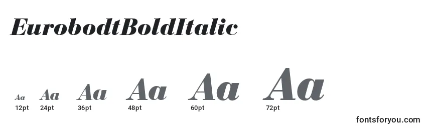 EurobodtBoldItalic Font Sizes
