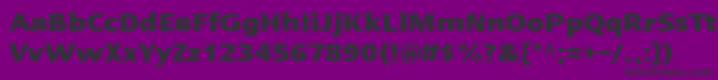 LinotypeErgoBold Font – Black Fonts on Purple Background