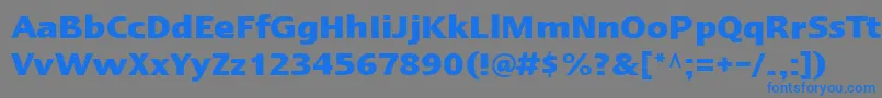 フォントLinotypeErgoBold – 灰色の背景に青い文字