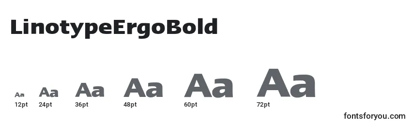 Размеры шрифта LinotypeErgoBold