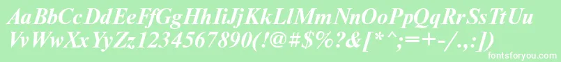 NewtonfttBolditalic Font – White Fonts on Green Background