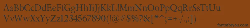 BeryliumRg Font – Black Fonts on Brown Background