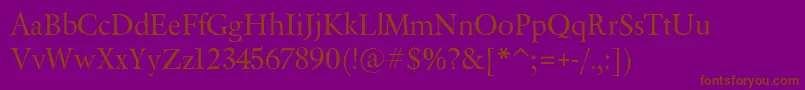 BeryliumRg Font – Brown Fonts on Purple Background