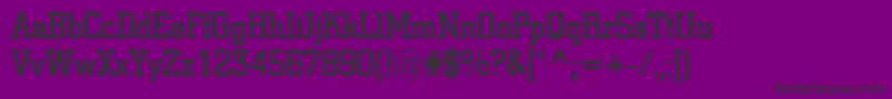 ACitynova Font – Black Fonts on Purple Background