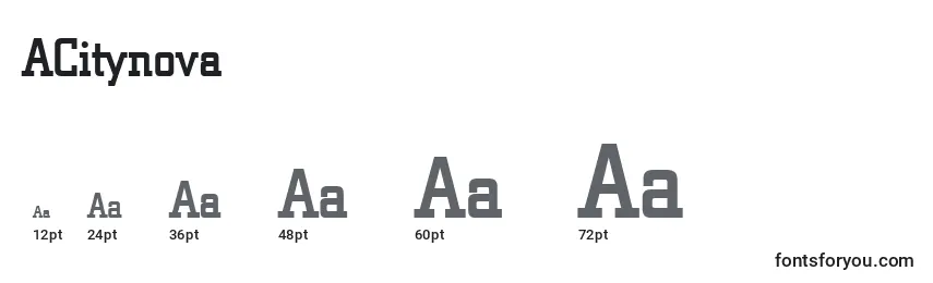 ACitynova Font Sizes