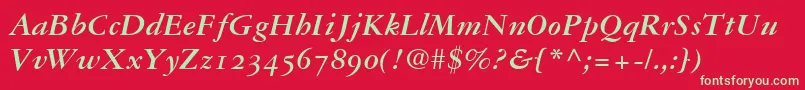 GaramondRepriseOldstyleSsiBold Font – Green Fonts on Red Background
