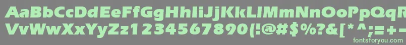 Everest Ultra Font – Green Fonts on Gray Background
