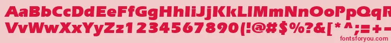 Everest Ultra Font – Red Fonts on Pink Background