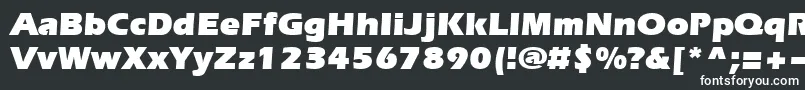 Everest Ultra Font – White Fonts on Black Background
