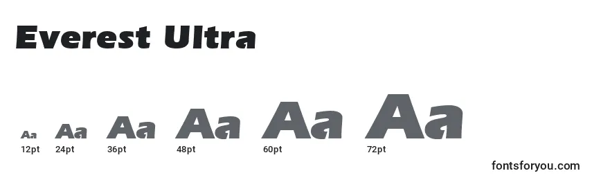 Размеры шрифта Everest Ultra