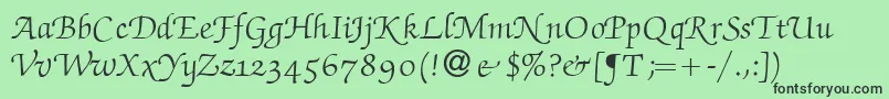 fuente ZabriskiescriptswashRegular – Fuentes Negras Sobre Fondo Verde