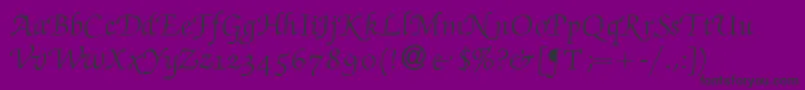 フォントZabriskiescriptswashRegular – 紫の背景に黒い文字