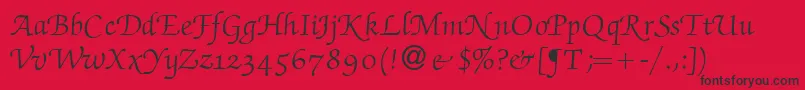 ZabriskiescriptswashRegular Font – Black Fonts on Red Background