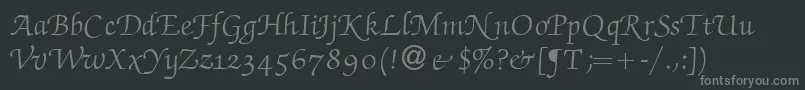 ZabriskiescriptswashRegular Font – Gray Fonts on Black Background