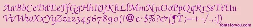 Czcionka ZabriskiescriptswashRegular – fioletowe czcionki na różowym tle