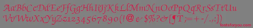 ZabriskiescriptswashRegular-fontti – punaiset fontit harmaalla taustalla