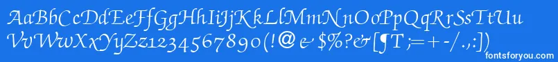 ZabriskiescriptswashRegular Font – White Fonts on Blue Background