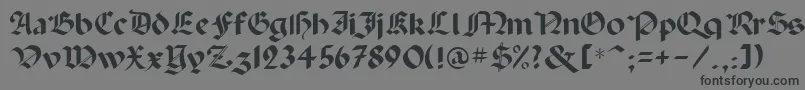 Paladin-Schriftart – Schwarze Schriften auf grauem Hintergrund
