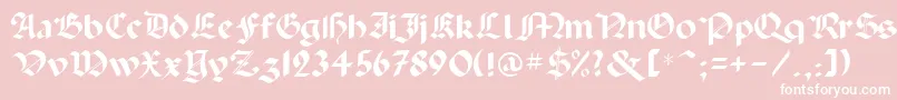 Paladin Font – White Fonts on Pink Background